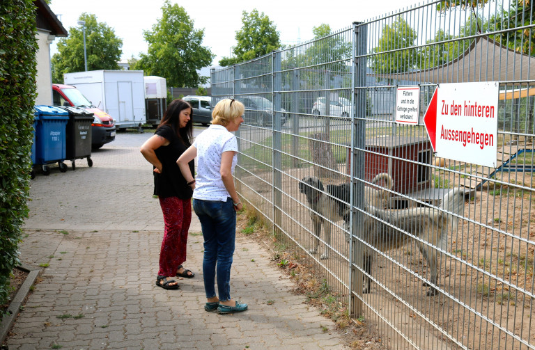 Das Aschaffenburger Tierheim hat mit einem Investitionsstau zu kämpfen. Bei einem Besuch informierte sich Martina Fehlner bei der 2. Vorsitzenden Sonja Sowietzky über die angespannte finanzielle Situation und die aktuellen Probleme vor Ort.
