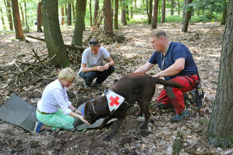 Das Ausbildungs- und Trainingsprogramm mit einem Rettungshund ist mit 2-3 Jahren äußerst zeit- und trainingsintensiv. Dieses große ehrenamtliche Engagement verdient nicht nur ideelle sondern auch finanzielle Unterstützung. Fotos: Dirk Kronewald